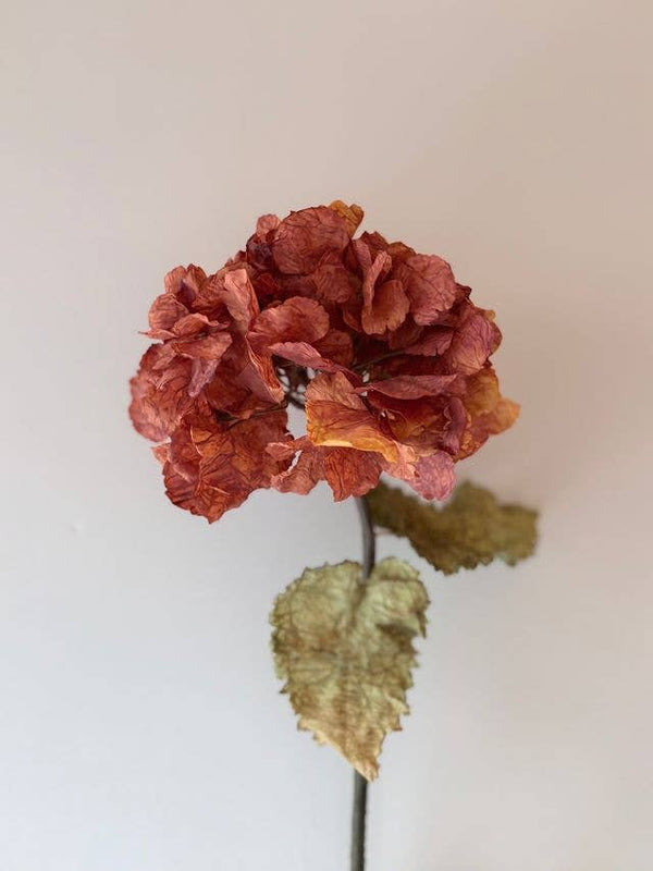 Vintage Hydrangea - Rust Orange - Distinctly Living