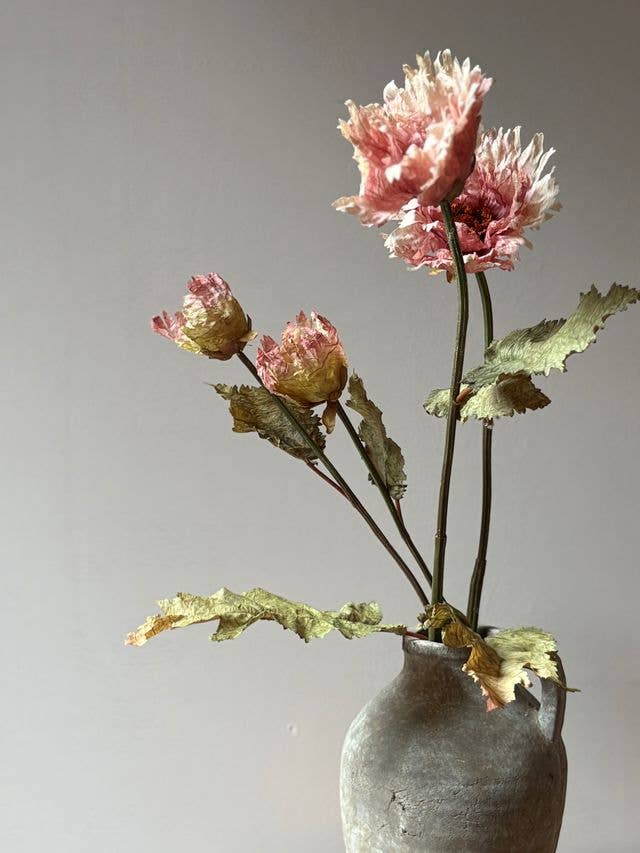 Vintage Poppy - Dusky Pink - Distinctly Living