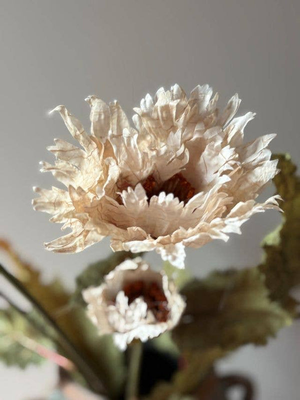 Vintage Poppy - Nude - Distinctly Living