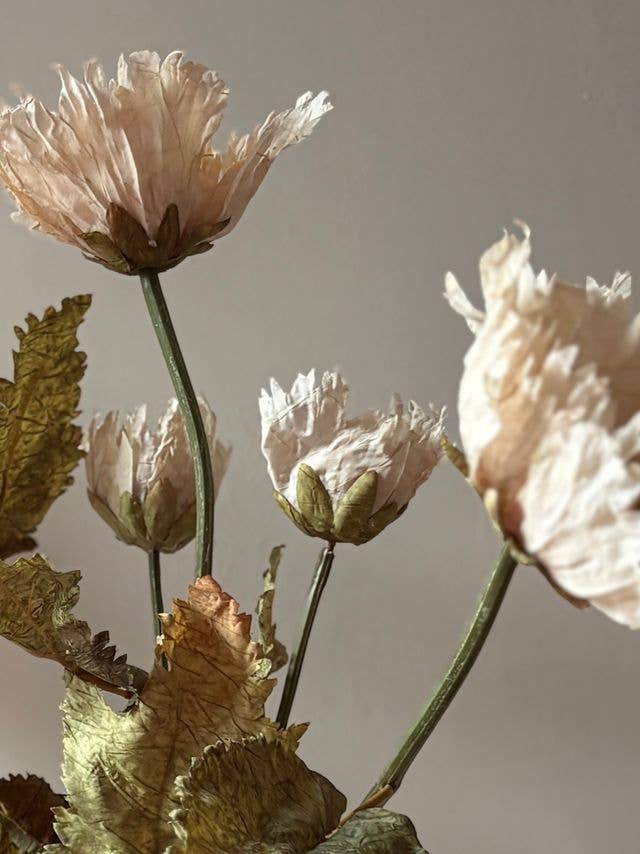 Vintage Poppy - Nude - Distinctly Living