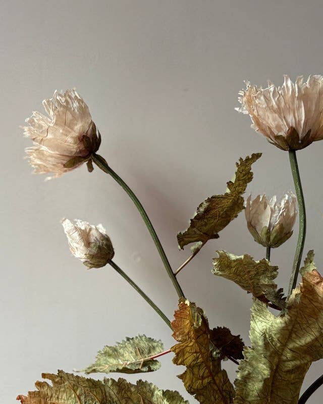 Vintage Poppy - Nude - Distinctly Living
