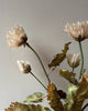 Vintage Poppy - Nude - Distinctly Living