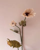 Vintage Poppy - Nude - Distinctly Living