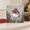 Winter Robin Charity Christmas Card Pack of 6 - Distinctly Living