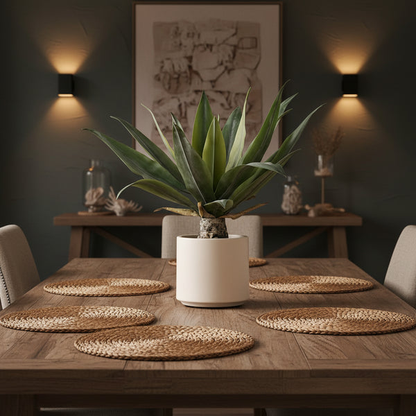 XL Potted Agave - Distinctly Living