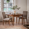 A Pair of Hampstead Dining Chairs - Dove Velvet - Distinctly Living 