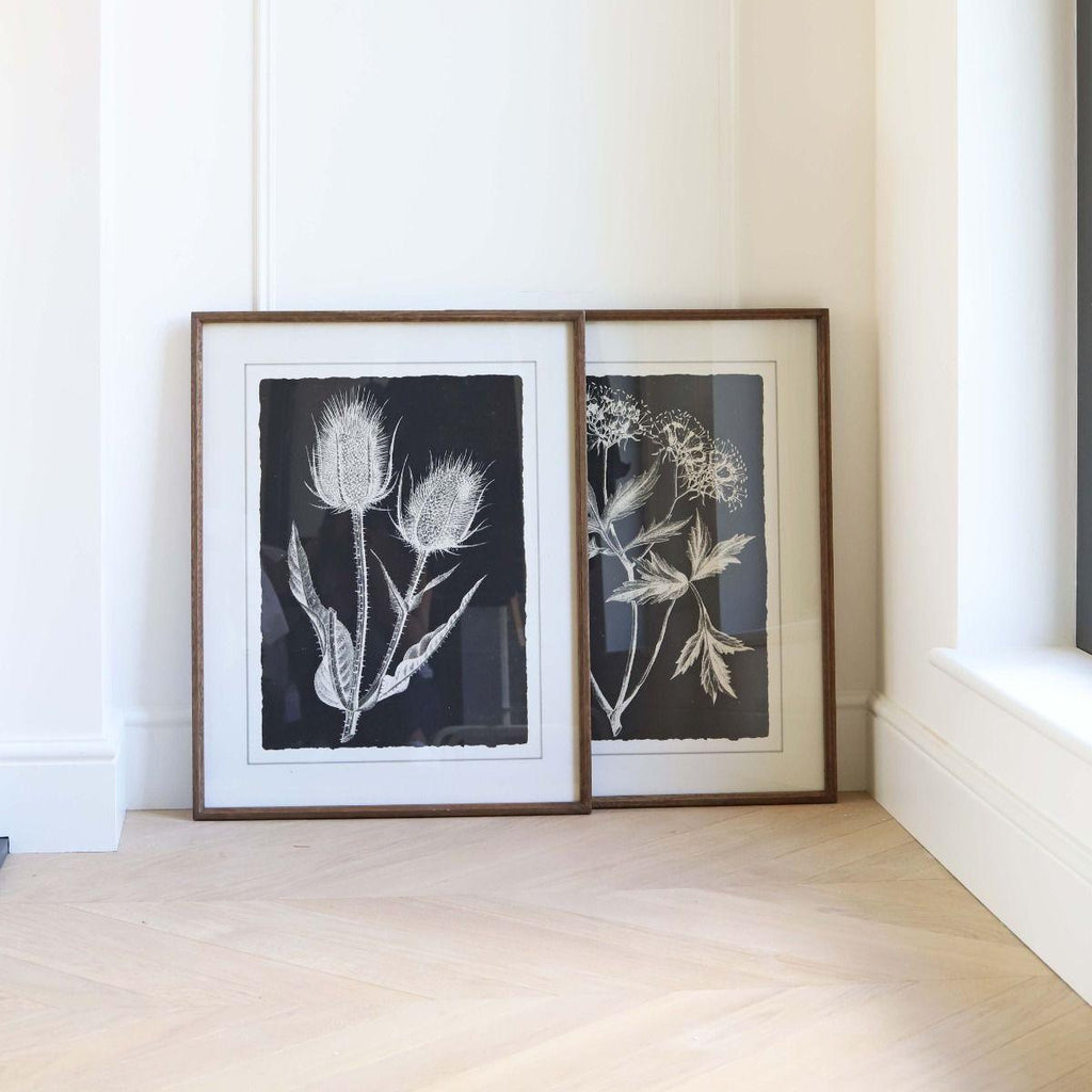 Black Wild Teasels Botanical - Framed Print - Distinctly Living 