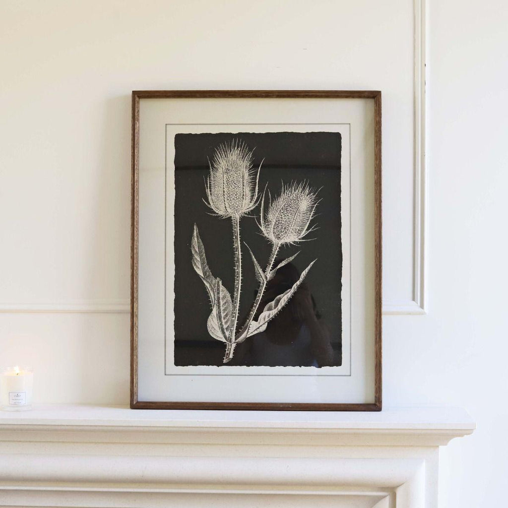 Black Wild Teasels Botanical - Framed Print - Distinctly Living 