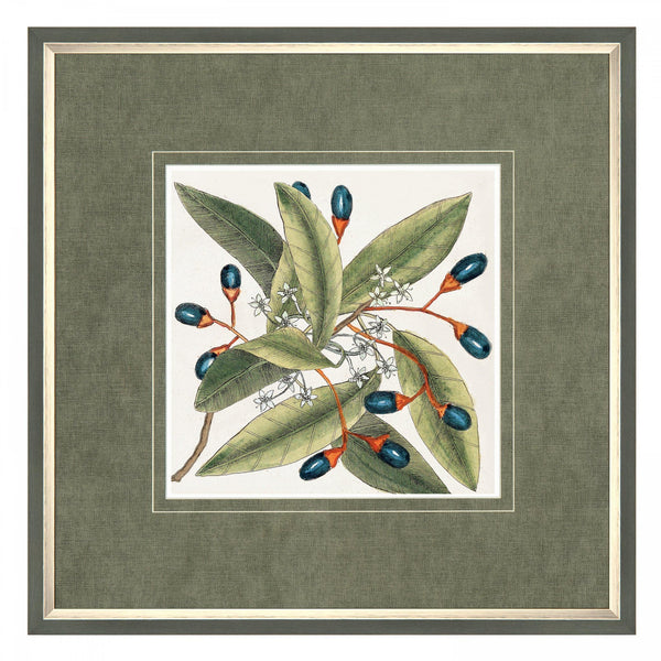 Botanical Style - Distinctly Living