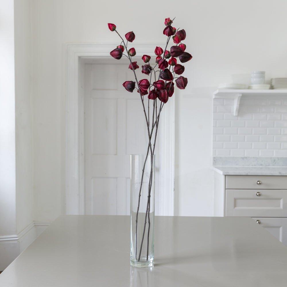 Chinese Lantern Stem - Distinctly Living