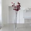 Chinese Lantern Stem - Distinctly Living