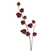 Chinese Lantern Stem - Distinctly Living