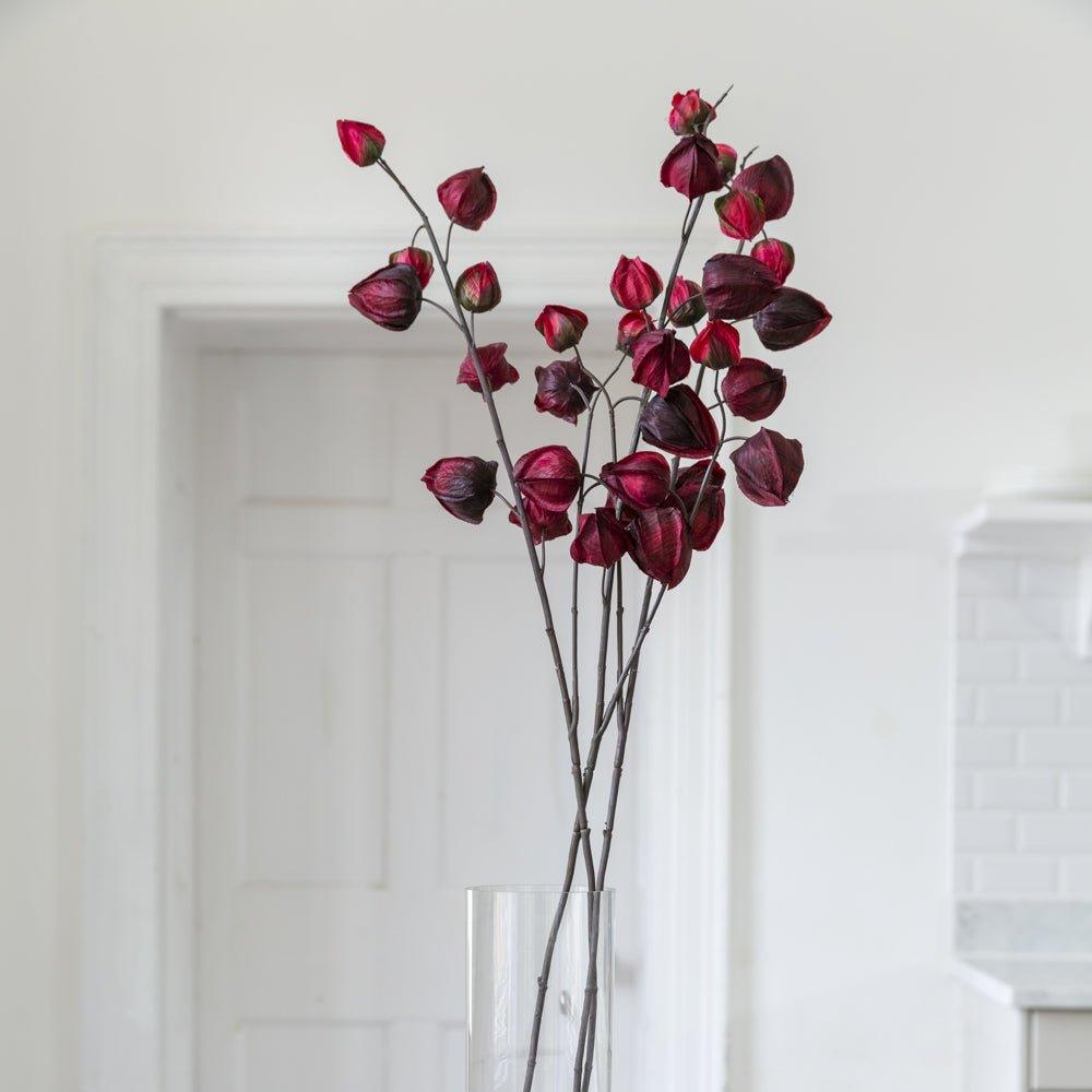 Chinese Lantern Stem - Distinctly Living