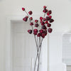 Chinese Lantern Stem - Distinctly Living