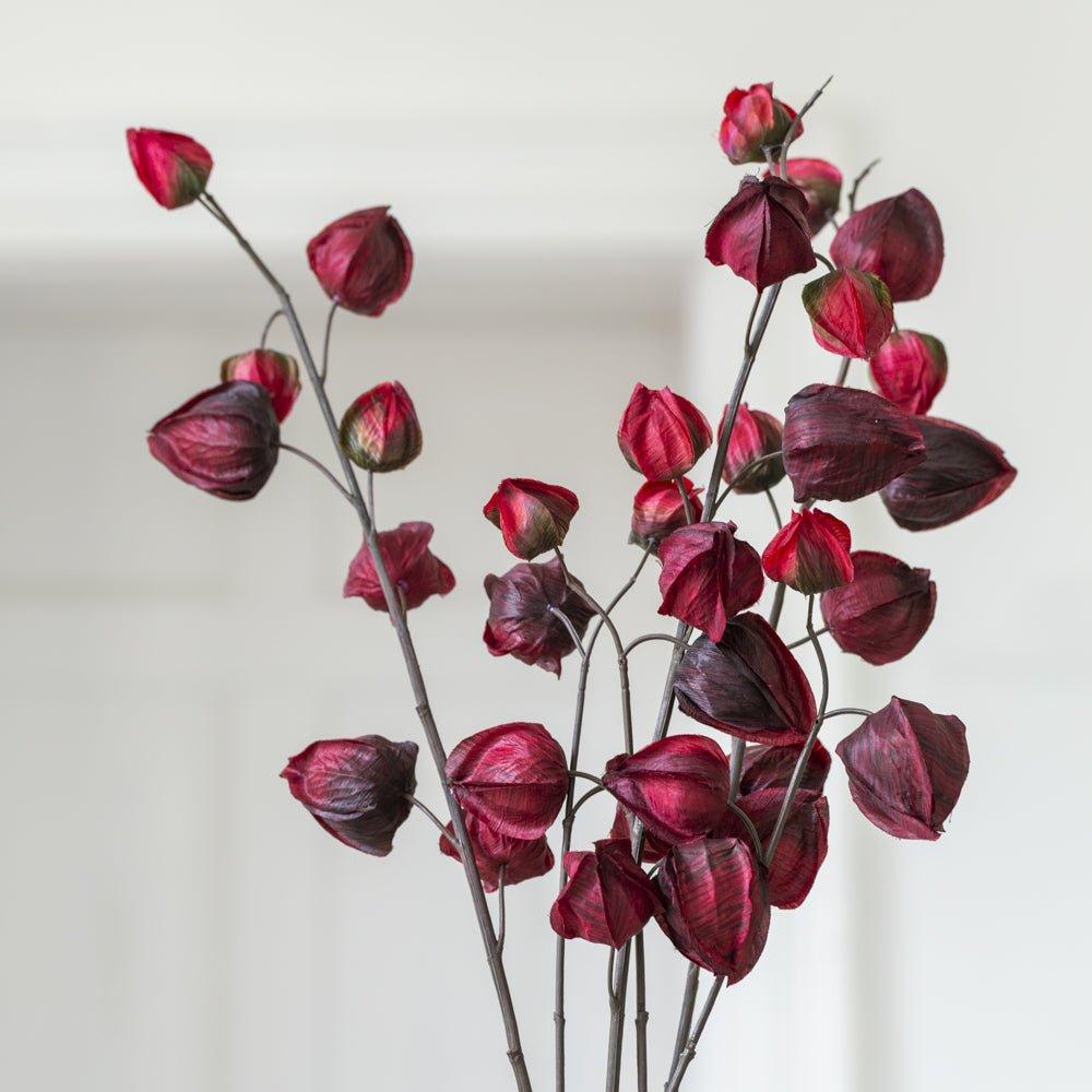Chinese Lantern Stem - Distinctly Living