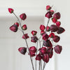 Chinese Lantern Stem - Distinctly Living