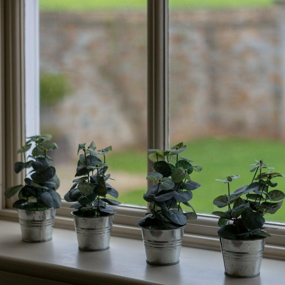 Eucalyptus Metal Pot - Distinctly Living
