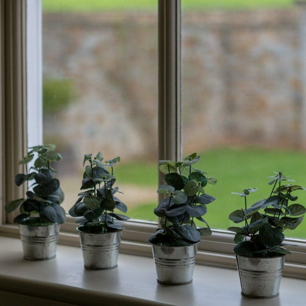 Eucalyptus Metal Pot - Distinctly Living
