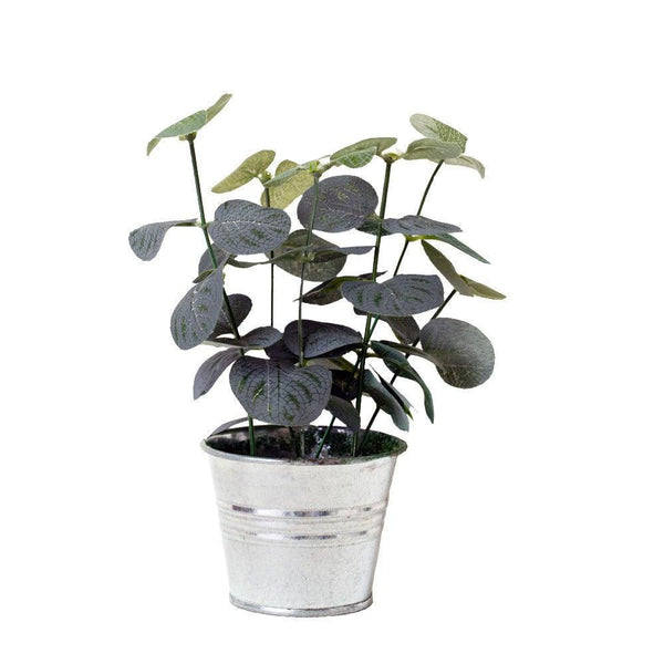 Eucalyptus Metal Pot - Distinctly Living