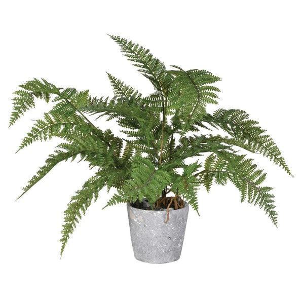 Faux Potted Fern - Distinctly Living 