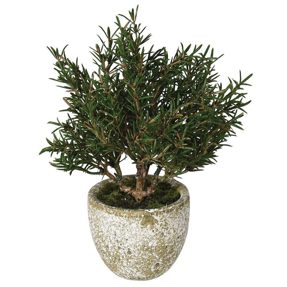 Faux Potted Rosemary - Distinctly Living 