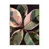 Ficus Print - Distinctly Living 