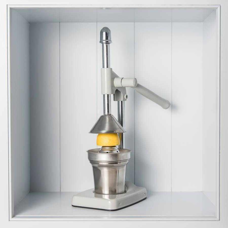 French Inspired Vintage Style Juicer - Distinctly Living