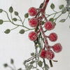 Frosted Berry Spray - Distinctly Living