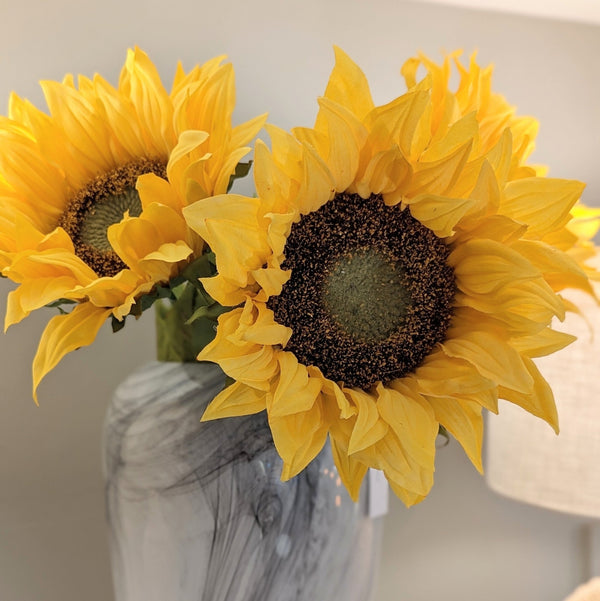 Giant Yellow Sunflower - Distinctly Living