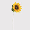 Giant Yellow Sunflower - Distinctly Living