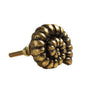 Golden Ammonite Cabinet Knob - Distinctly Living