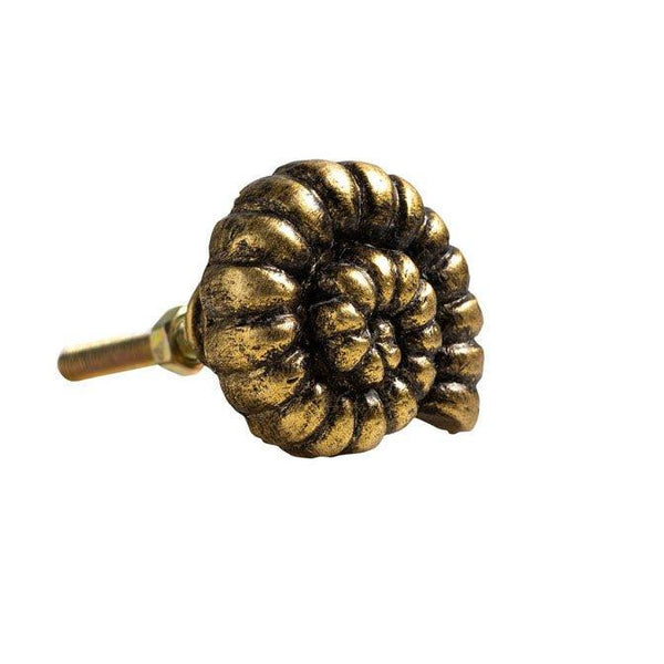 Golden Ammonite Cabinet Knob - Distinctly Living