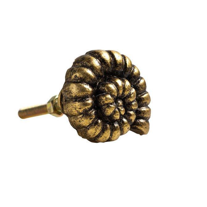 Golden Ammonite Cabinet Knob - Distinctly Living