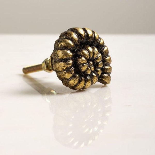 Golden Ammonite Cabinet Knob - Distinctly Living