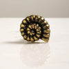 Golden Ammonite Cabinet Knob - Distinctly Living 