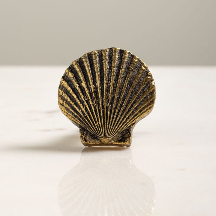 Golden Shell Cabinet Knob - Distinctly Living