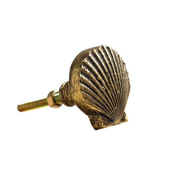 Golden Shell Cabinet Knob - Distinctly Living