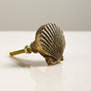 Golden Shell Cabinet Knob - Distinctly Living
