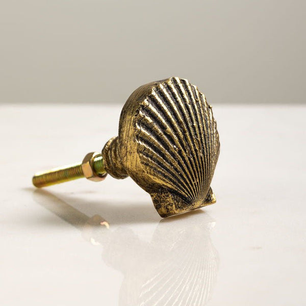 Golden Shell Cabinet Knob - Distinctly Living