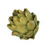 Green Artichoke Head - Distinctly Living