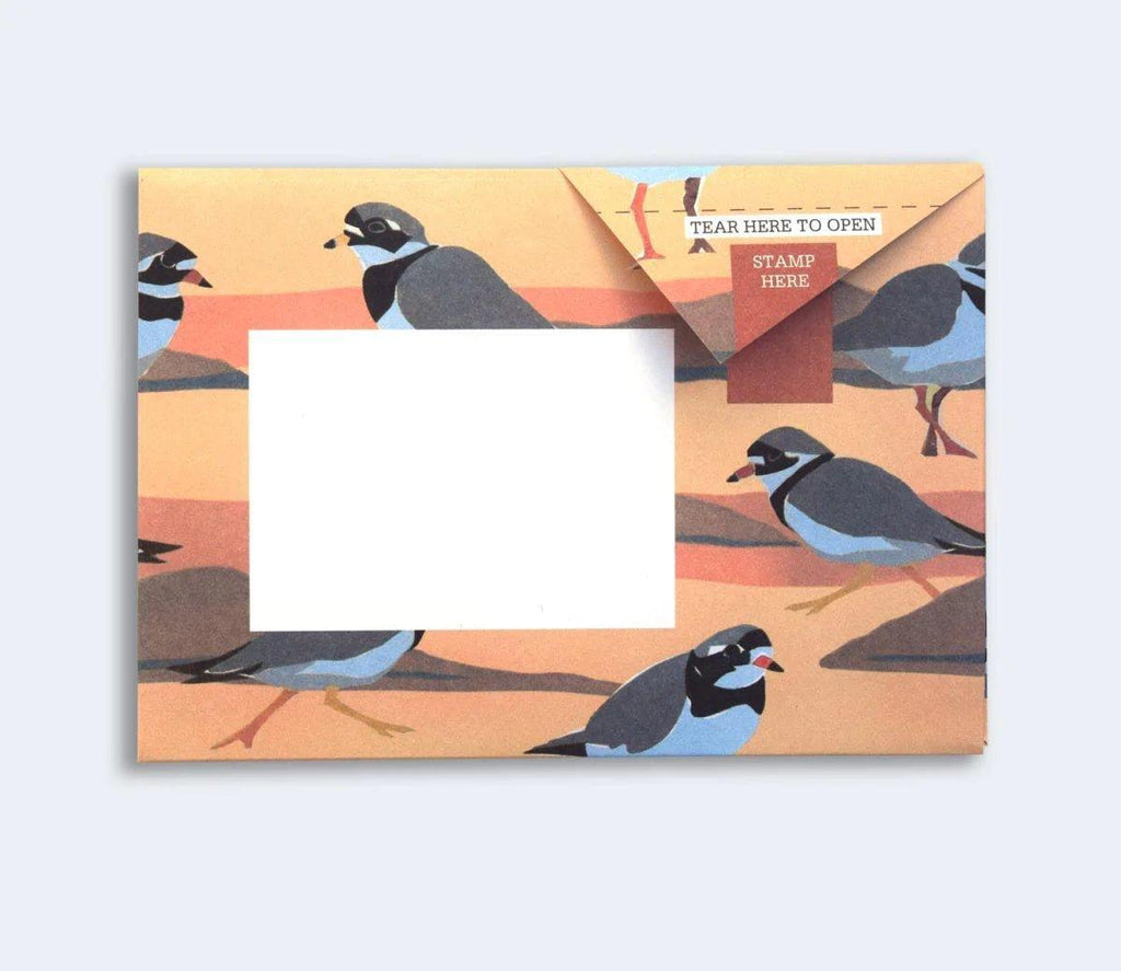 Hebridean Pigeons Notecards - Distinctly Living 