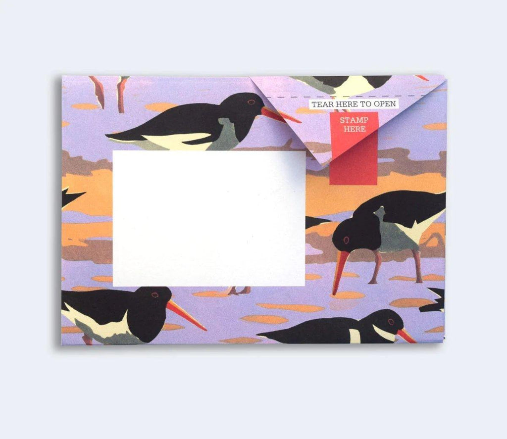 Hebridean Pigeons Notecards - Distinctly Living