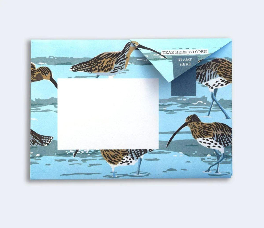 Hebridean Pigeons Notecards - Distinctly Living
