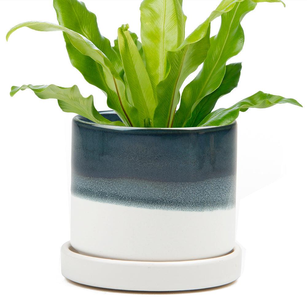 Helle Plant Pot & Saucer - Various Colours - Distinctly Living