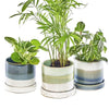Helle Plant Pot & Saucer - Various Colours - Distinctly Living