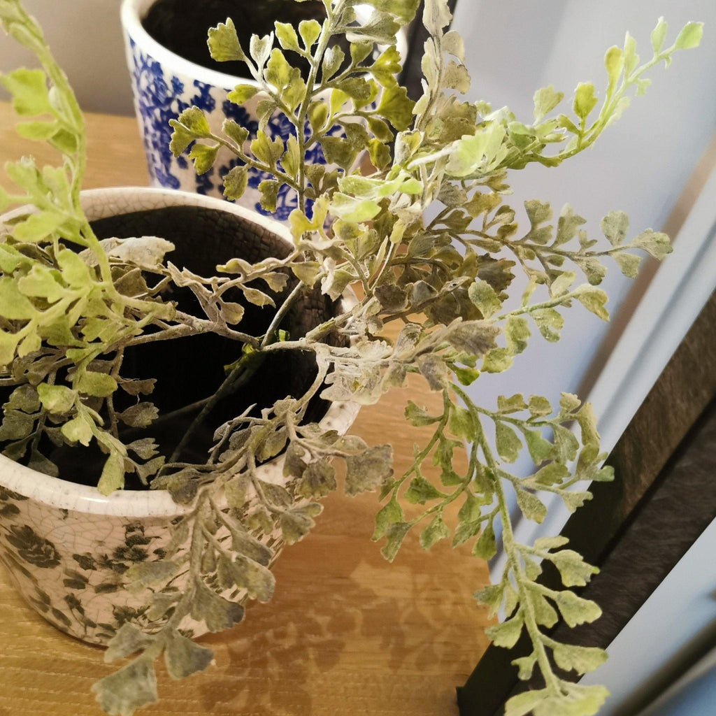 Herb Stem - Distinctly Living