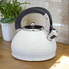 Hex Whistling Stove Top Kettle in White or Silver Grey - Distinctly Living