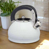 Hex Whistling Stove Top Kettle in White or Silver Grey - Distinctly Living 