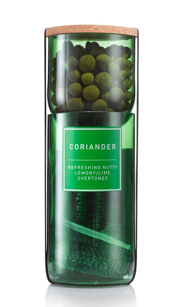 Hydroponic Herb Kit - Mint, Basil, Coriander, Rocket or Rosemary - Recycled Wine Bottles - Distinctly Living 
