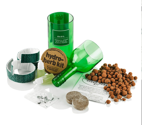 Hydroponic Herb Kit - Mint, Basil, Coriander, Rocket or Rosemary - Recycled Wine Bottles - Distinctly Living 